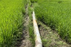thumbs_1_IMG_20211117_130239