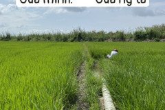 thumbs_1_IMG_20211117_130242