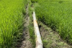thumbs_1_IMG_20211117_140355