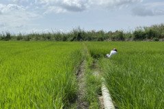 thumbs_1_IMG_20211117_140358