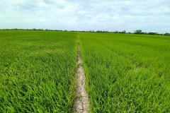 thumbs_1_LEFT-OURS-RIGHT-ANOTHER-FIELD-01