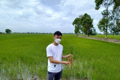 thumbs_1_MB-ROOT