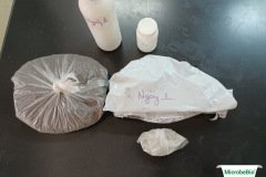 thumbs_1_MICROBEBIO-12-06-2120