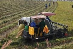 thumbs_1_MICROBEBIO-FIELD-IMAGE96