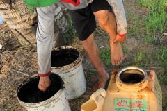 thumbs_1_MICROBEBIO-TAN-CHAU-V5