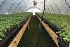 thumbs_1_MICROBEBIO-TRIAL-TEST-ALABAMA14