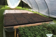 thumbs_1_MICROBEBIO-TRIAL-TEST-ALABAMA4