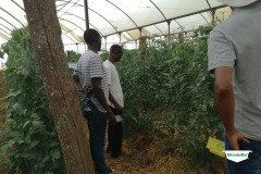 thumbs_1_MICROBEBIO-TRIAL-TEST-ZAMBIA13