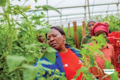 thumbs_1_MICROBEBIO-TRIAL-TEST-ZAMBIA14