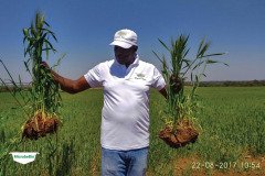 thumbs_1_MICROBEBIO-TRIAL-TEST-ZAMBIA19