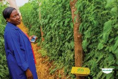 thumbs_1_MICROBEBIO-TRIAL-TEST-ZAMBIA4