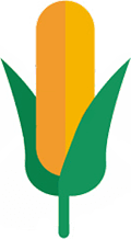 ico_12