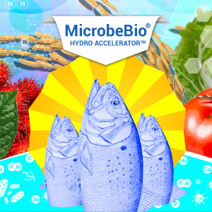 Microbebio hydro accelerator