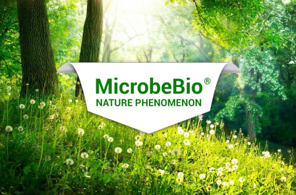 How do microbes help to sustain life on earth?